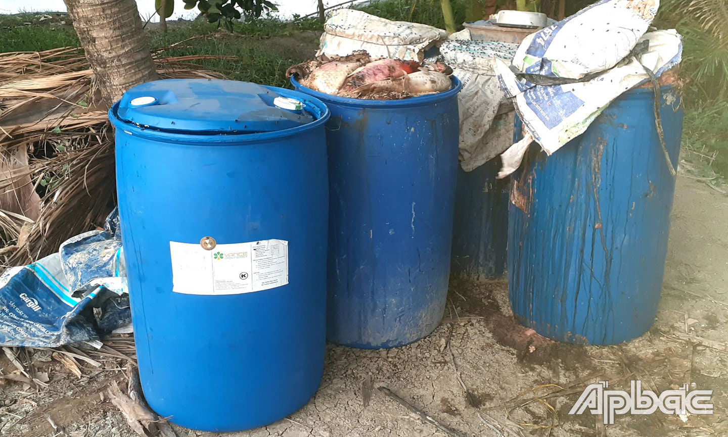 Tiền Giang: Điều tra vụ người dân trình báo ao cá Koi chết bất thường