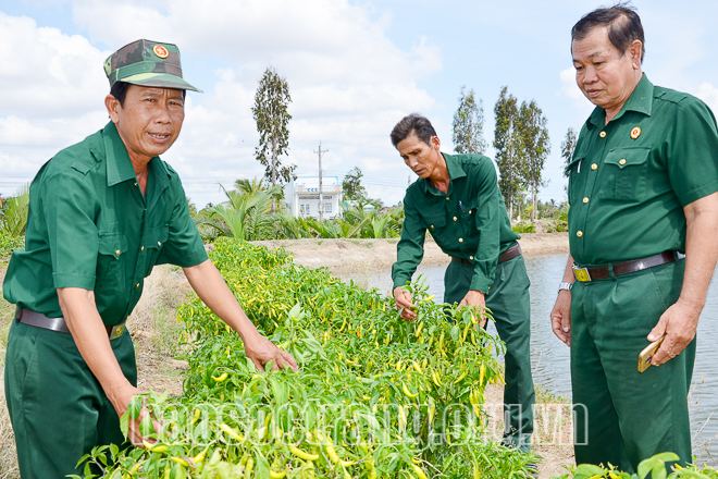 Người chi hội trưởng cựu chiến binh gương mẫu