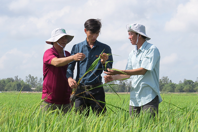 Tam Nông hỗ trợ nông dân phát triển kinh tế
