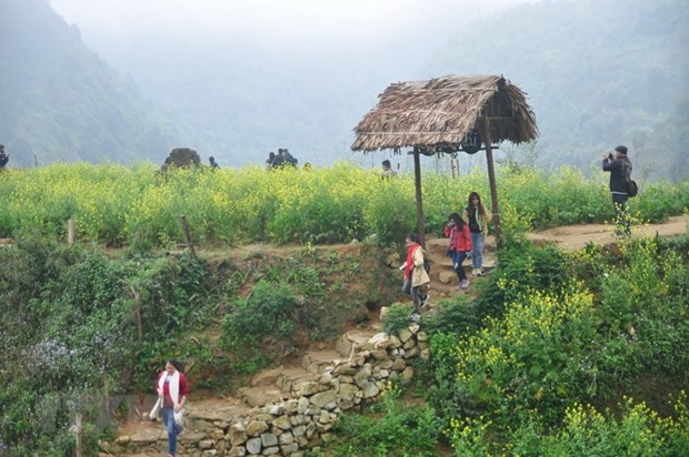 7 điểm du lịch hấp dẫn ở Sa Pa du khách không thể bỏ lỡ