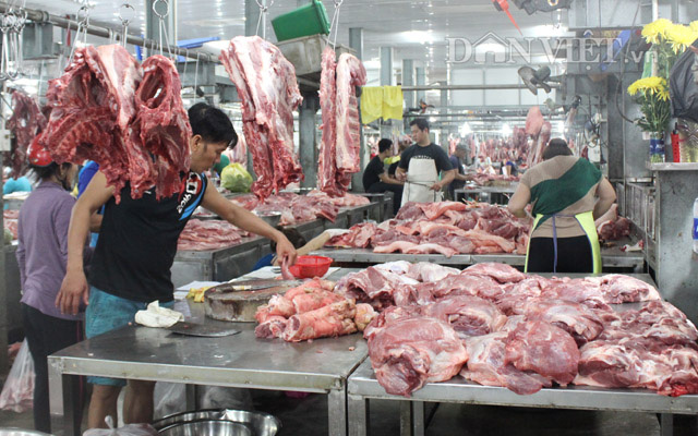 Giá heo hơi hôm nay 22-5: Thực hư giá heo hơi nhảy vọt lên 103.000 đồng/kg, “vỡ trận”?