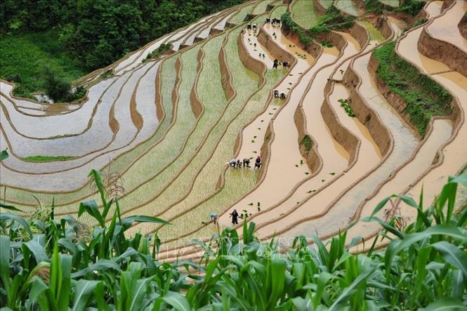 Nhiều hoạt động trải nghiệm 'Mùa nước đổ' tại Mù Cang Chải từ 30-5
