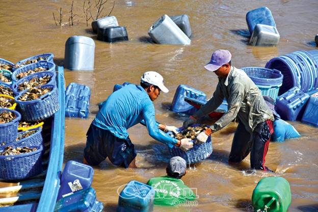 Phong phú "quà" biển