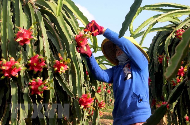 Hiệp định EVFTA: Xuất khẩu của Việt Nam có thể tăng 12% vào năm 2030