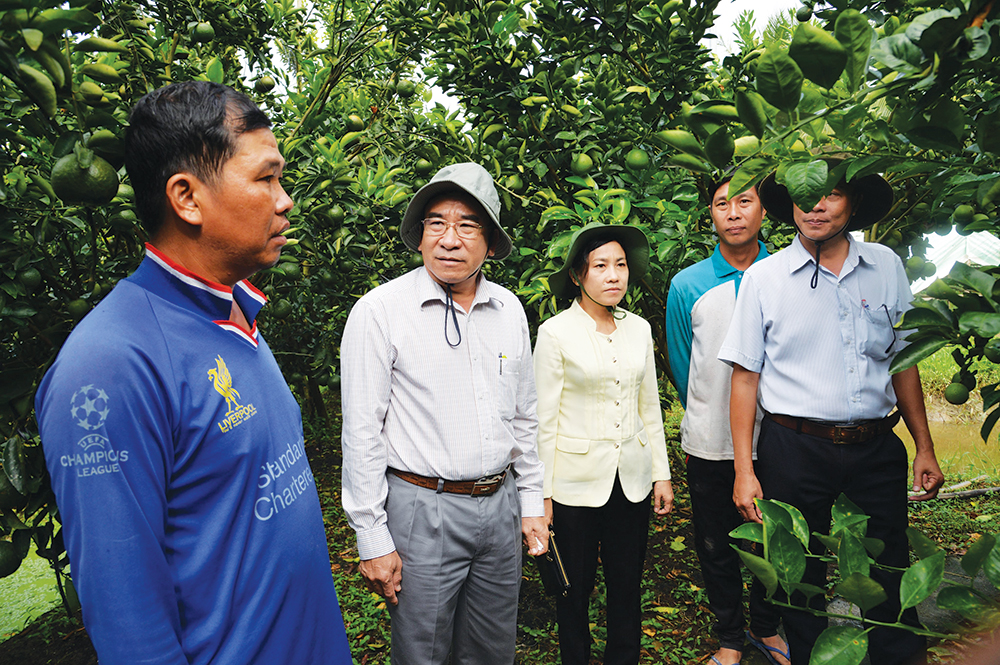 Chào mừng Đại hội đại biểu Đảng bộ xã Vĩnh An lần thứ XVII, nhiệm kỳ 2020 – 2025: Phát triển kinh tế nông nghiệp theo hướng bền vững