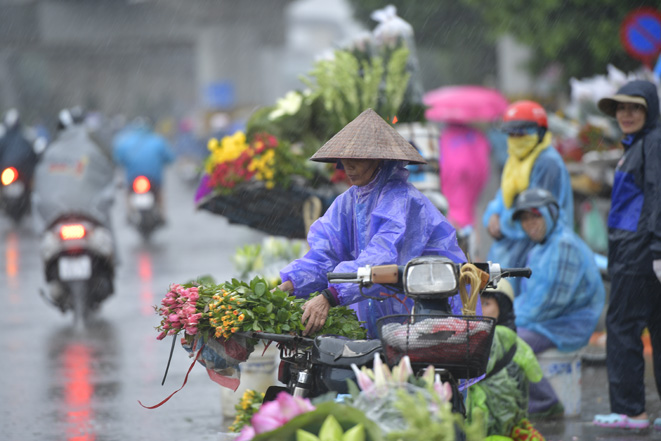 Thời tiết ngày 28-5: Vùng núi và trung du Bắc Bộ có mưa vừa, mưa to, có nơi rất to