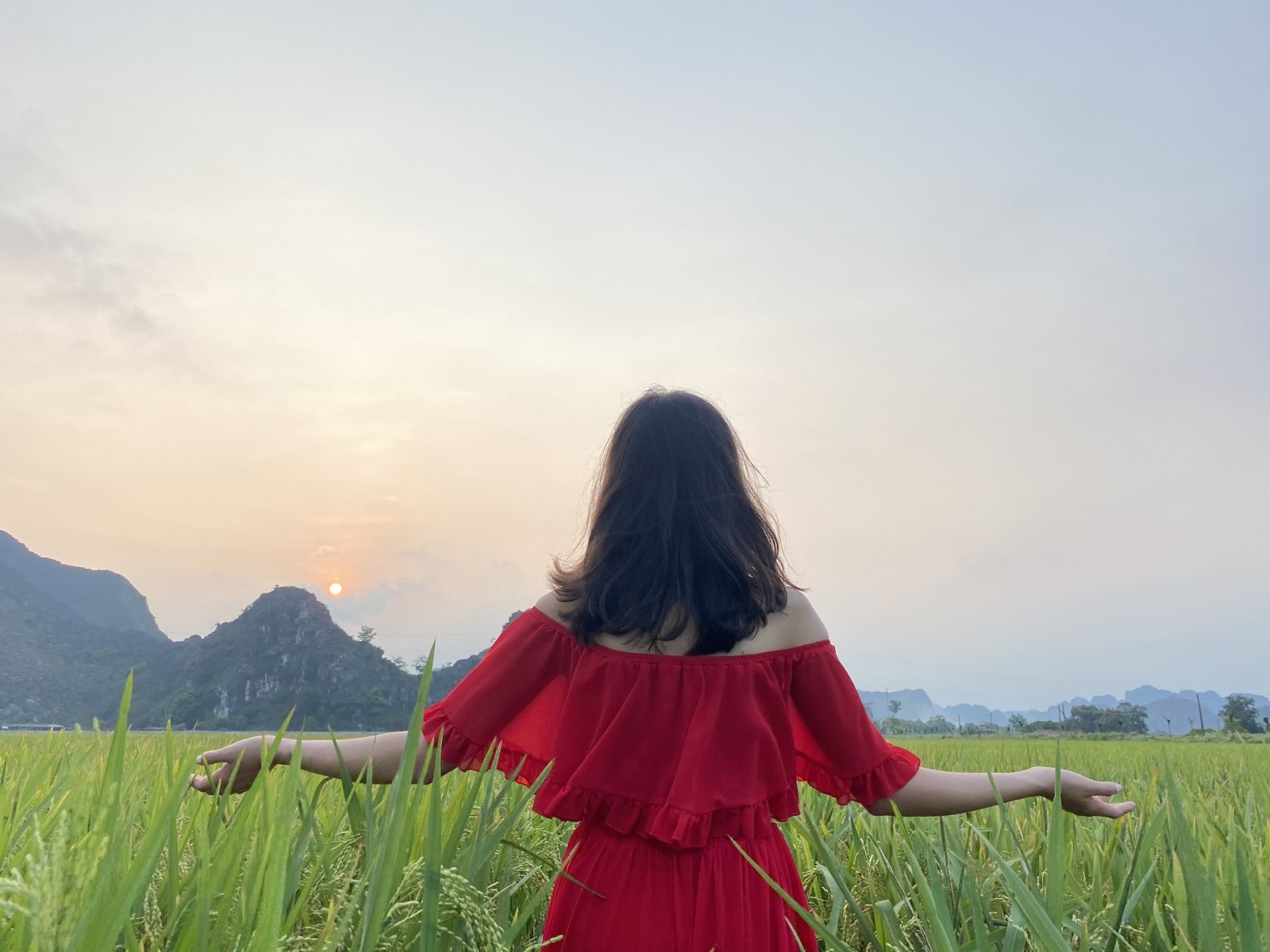 Ngắm lúa chín vàng từ đỉnh Hang Múa