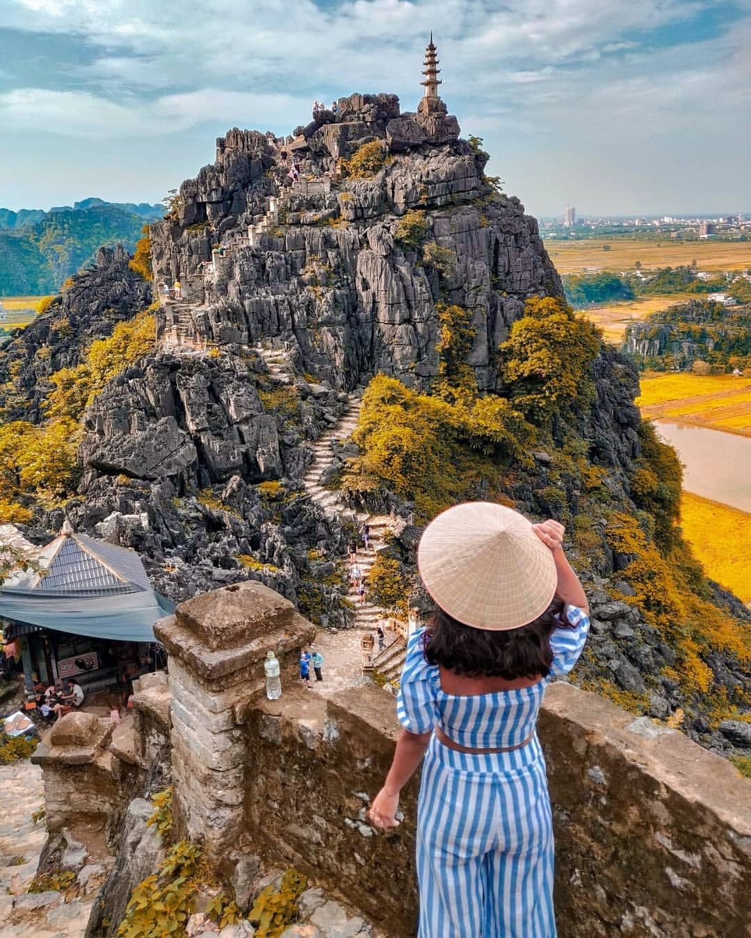 Ngắm lúa chín vàng từ đỉnh Hang Múa