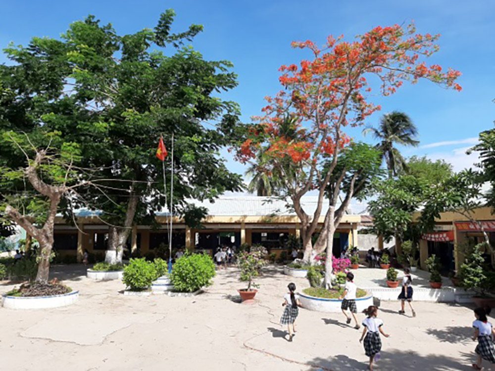 Đảm bảo an toàn về cây xanh trong trường học
