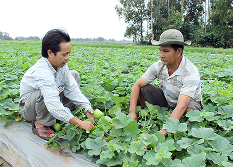 Hậu Giang: Khởi sắc nông thôn mới