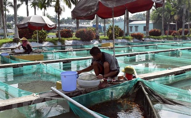 TP.HCM phát huy vai trò trung tâm kinh tế, tiên phong mô hình mới