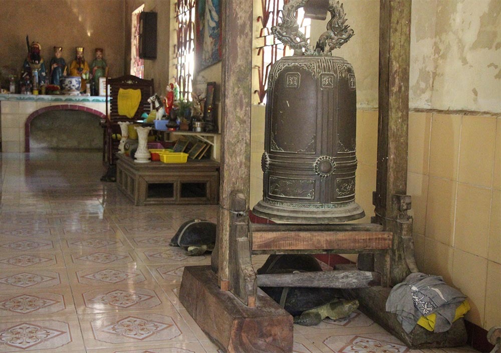 'Cụ rùa' sống dưới tượng phật Quan Âm trong chùa ở miền Tây