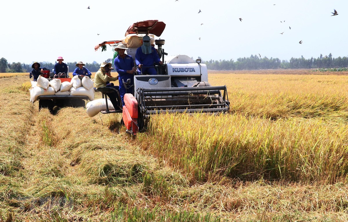 Ứng dụng công nghệ cao thúc đẩy ngành nông nghiệp phát triển vượt bậc