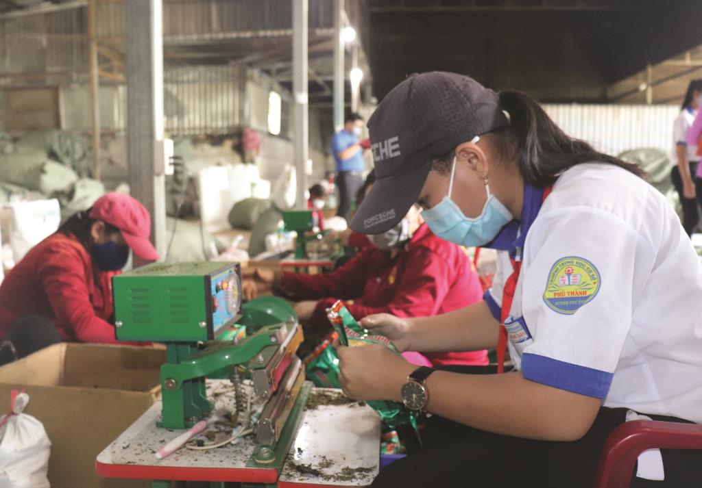 Bồi đắp tình yêu quê hương