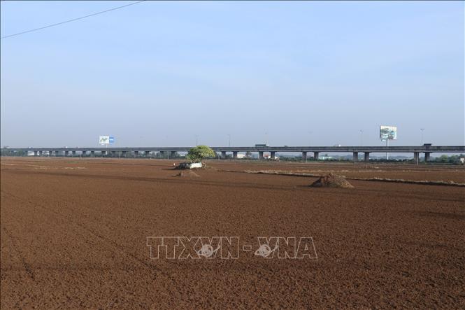 Long An theo dõi xâm nhập mặn, tập trung gieo sạ vụ Hè Thu