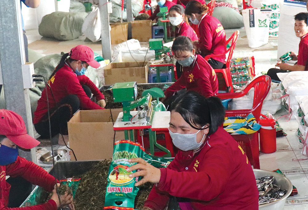 Dựng nghiệp với sản phẩm trà ướp hương