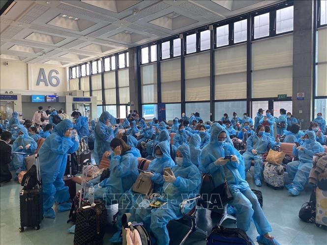 Sáng 4-6: Việt Nam 49 ngày không có ca mắc mới COVID-19 trong cộng đồng