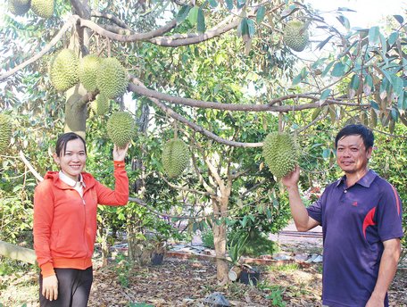 Vĩnh Long: Tạo đột phá nhờ cơ cấu lại ngành nông nghiệp gắn với xây dựng nông thôn mới