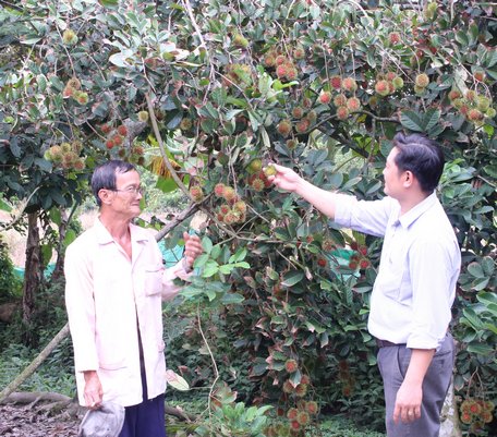 Kinh tế phát triển, người dân phấn khởi