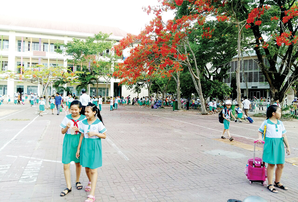 Hè về rồi, trường vẫn đông vui!