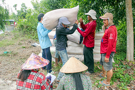 Phấn khởi lúa Hè thu đầu vụ