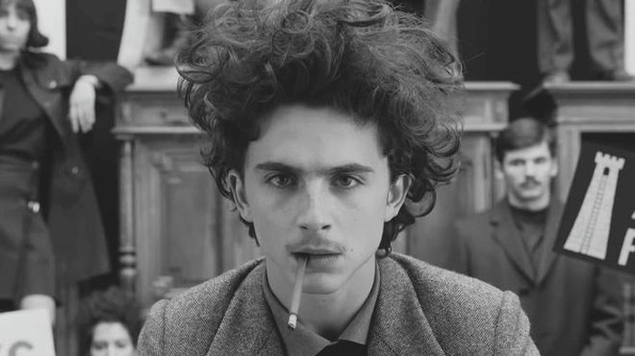 56 phim tại Cannes 2020: 'Hoàng tử trái đào' Timotheé Chalamet đối đầu 'Người khổng lồ' của Disney