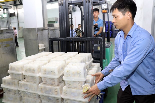 Bộ Chính trị ra kết luận về việc khắc phục tác động của dịch COVID-19