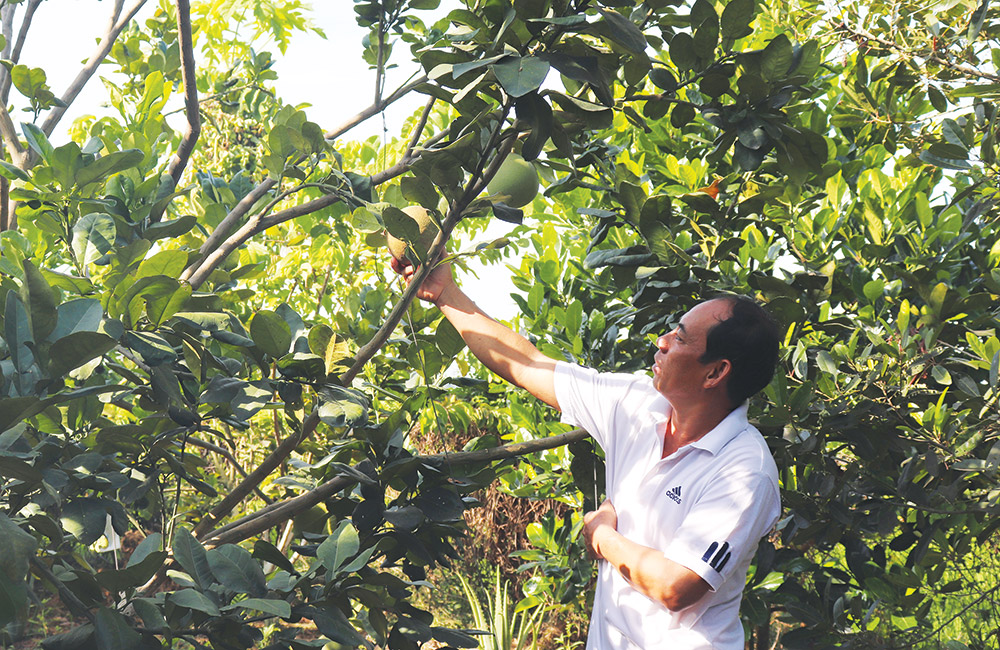 Điểm sáng ở Phú Lâm