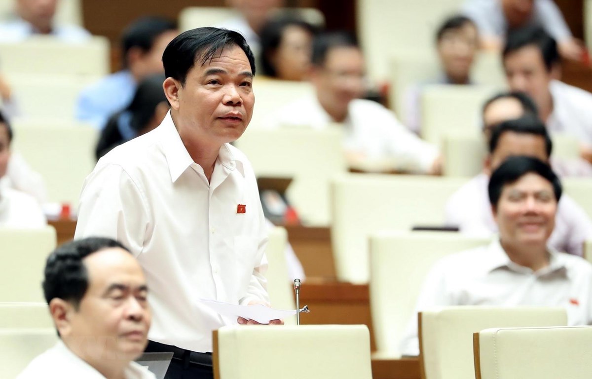 Bộ trưởng Nông nghiệp: Sớm đưa giá thịt lợn xuống mức hợp lý