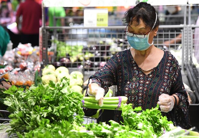 Diễn biến COVID-19 tới 6 giờ sáng 19-6: Thế giới trên 8,5 triệu ca mắc bệnh, một số thành phố châu Âu tái phong tỏa