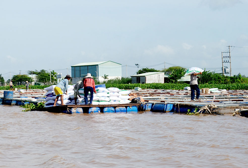 Tăng cường kiểm soát ô nhiễm, bảo vệ môi trường