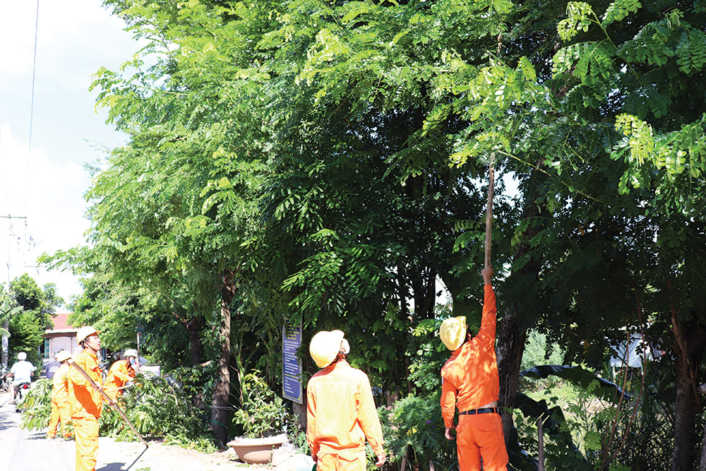 Chủ động ứng phó trước thiên tai