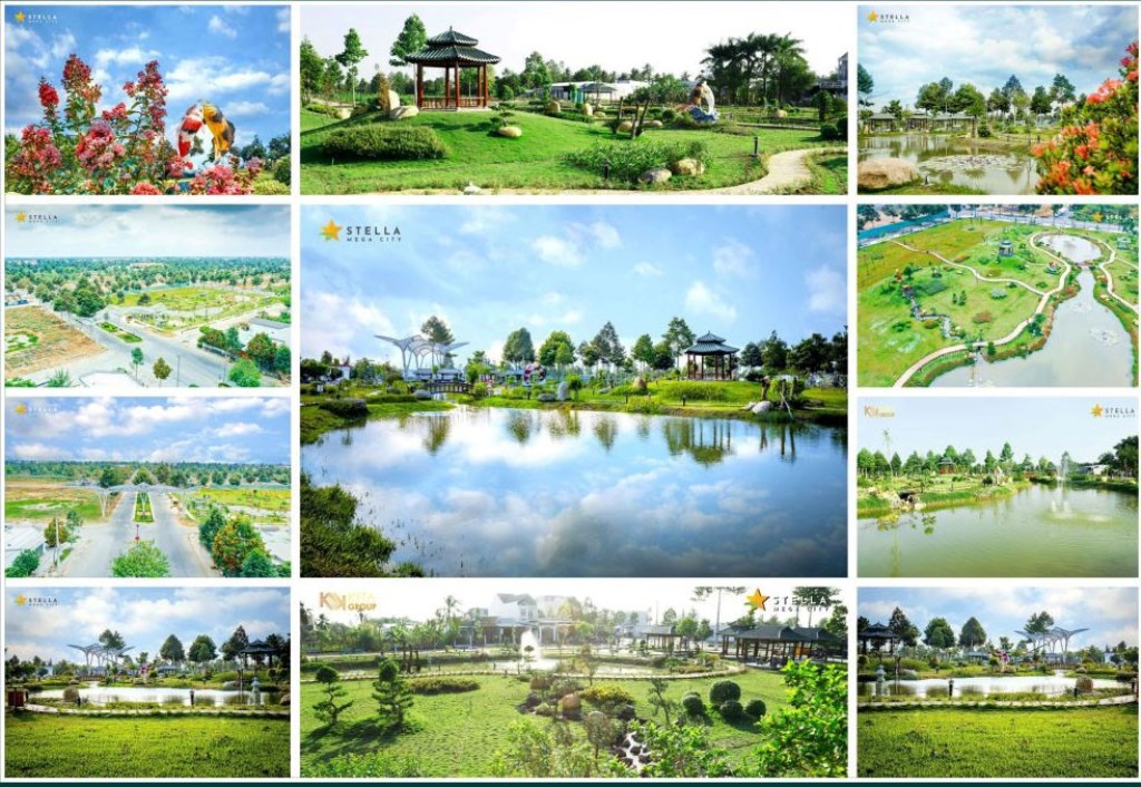 Sự kiện hội thảo Bất động sản lớn nhất từ trước đến nay tại Cần Thơ và ĐBSCL với diễn giả - Giáo sư Đặng Hùng Võ
