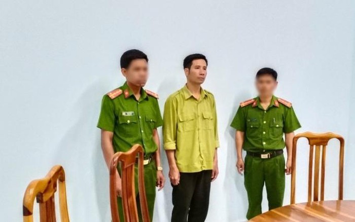 Điều tra vụ phá rừng, cán bộ bảo vệ rừng bị bắt