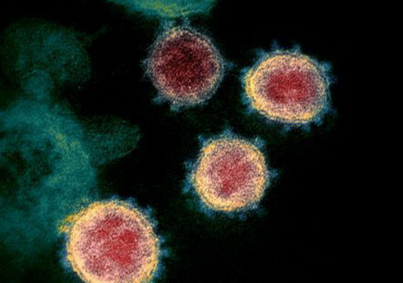 Tìm thấy xúc tu nguy hiểm trong cấu tạo của virus gây COVID-19
