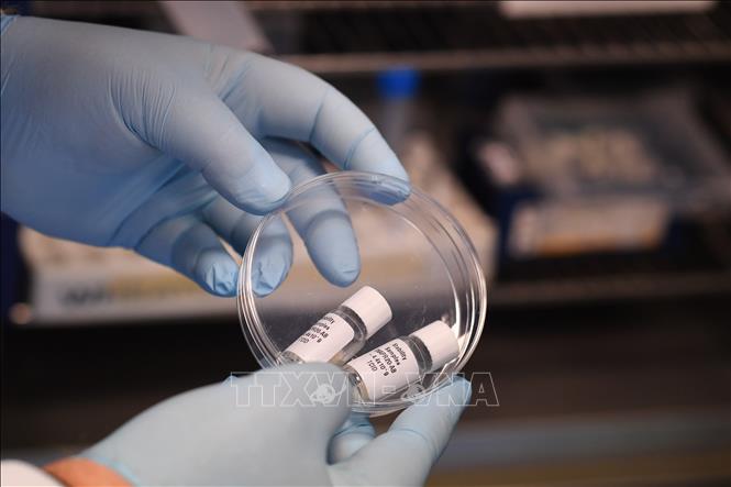 Kết hợp thuốc kháng HIV không hiệu quả trong điều trị COVID-19