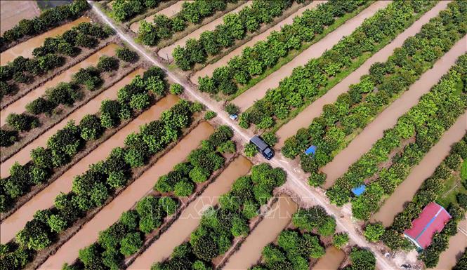 Từ ngày 1-7, sẽ tiến hành điều tra nông thôn, nông nghiệp giữa kỳ 2020