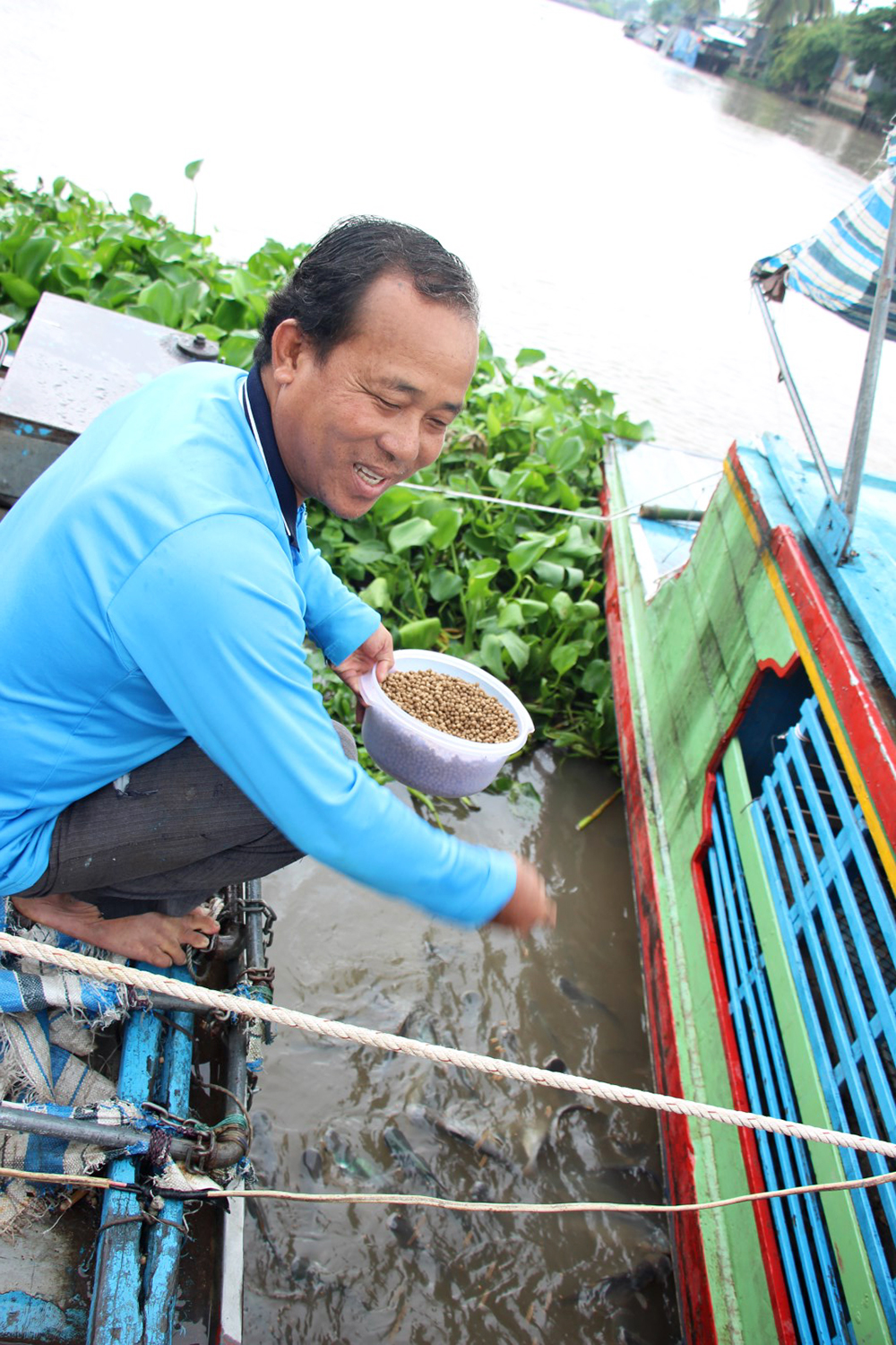 Một nông dân ở Chợ Mới dụ nuôi hàng ngàn cá tra sông tự nhiên trước bến sông nhà để ngắm