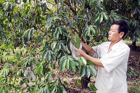 Đổi thay ở vùng đất phèn, mặn