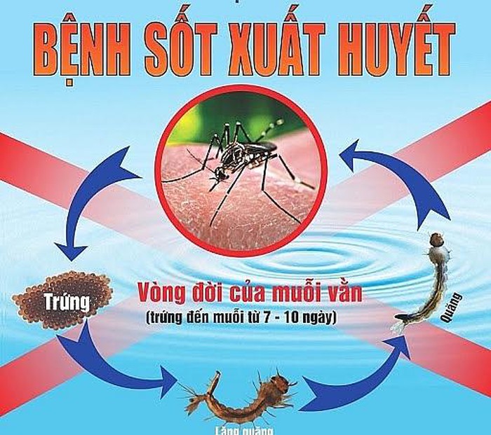 Dịch sốt xuất huyết lại tăng cao tại 12 tỉnh, TP