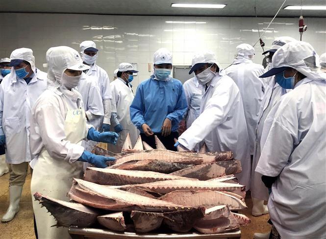 Ngân hàng tiếp tục giảm lãi suất cứu doanh nghiệp, tín dụng khởi sắc dần
