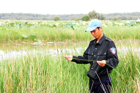 Láng Sen giữa Đồng Tháp Mười