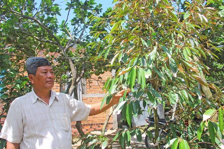 Hạn- mặn tạm đi qua, nỗi lo còn để lại...