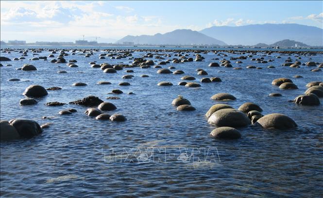 Vẻ đẹp bãi san hô lộ thiên ở Ninh Thuận