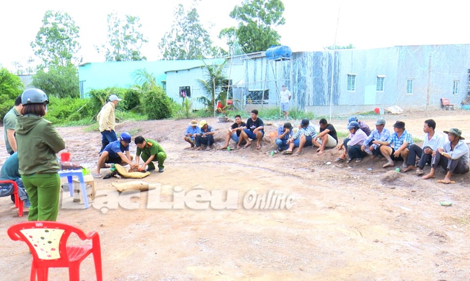 Bạc Liêu: Triệt xóa điểm đá gà ăn tiền quy mô lớn