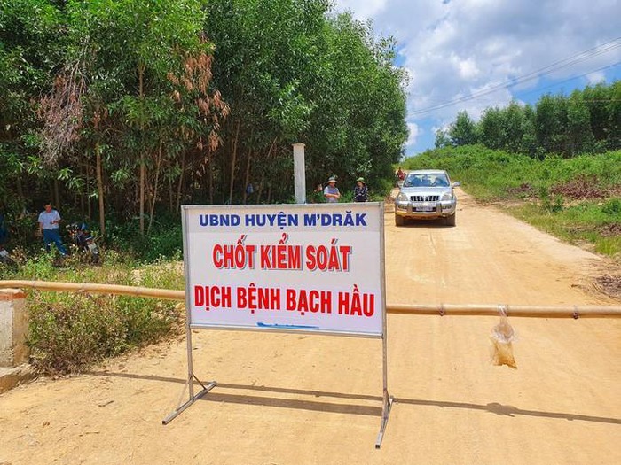 Thêm nhiều trường hợp mắc bạch hầu, Đắk Lắk cách ly hàng ngàn người dân