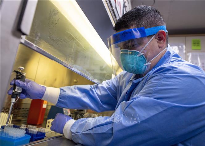 Giới khoa học Mỹ xác định gene quan trọng trong kháng thể virus SARS-CoV-2