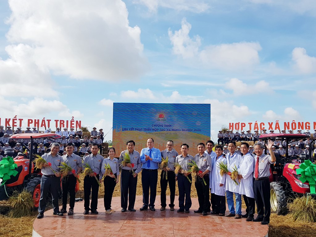 Tập đoàn Lộc Trời thành lập 50 hợp tác xã ở An Giang