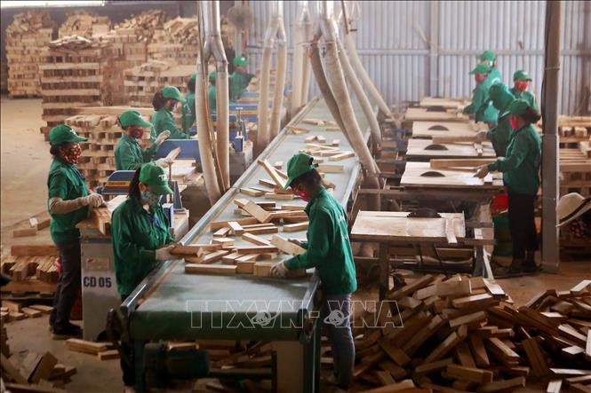 Trên 49% doanh nghiệp đánh giá xu hướng kinh doanh sẽ tốt lên