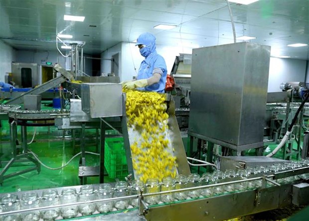 Việt Nam có thể là hình mẫu hoàn hảo phục hồi sau dịch ở Nam bán cầu